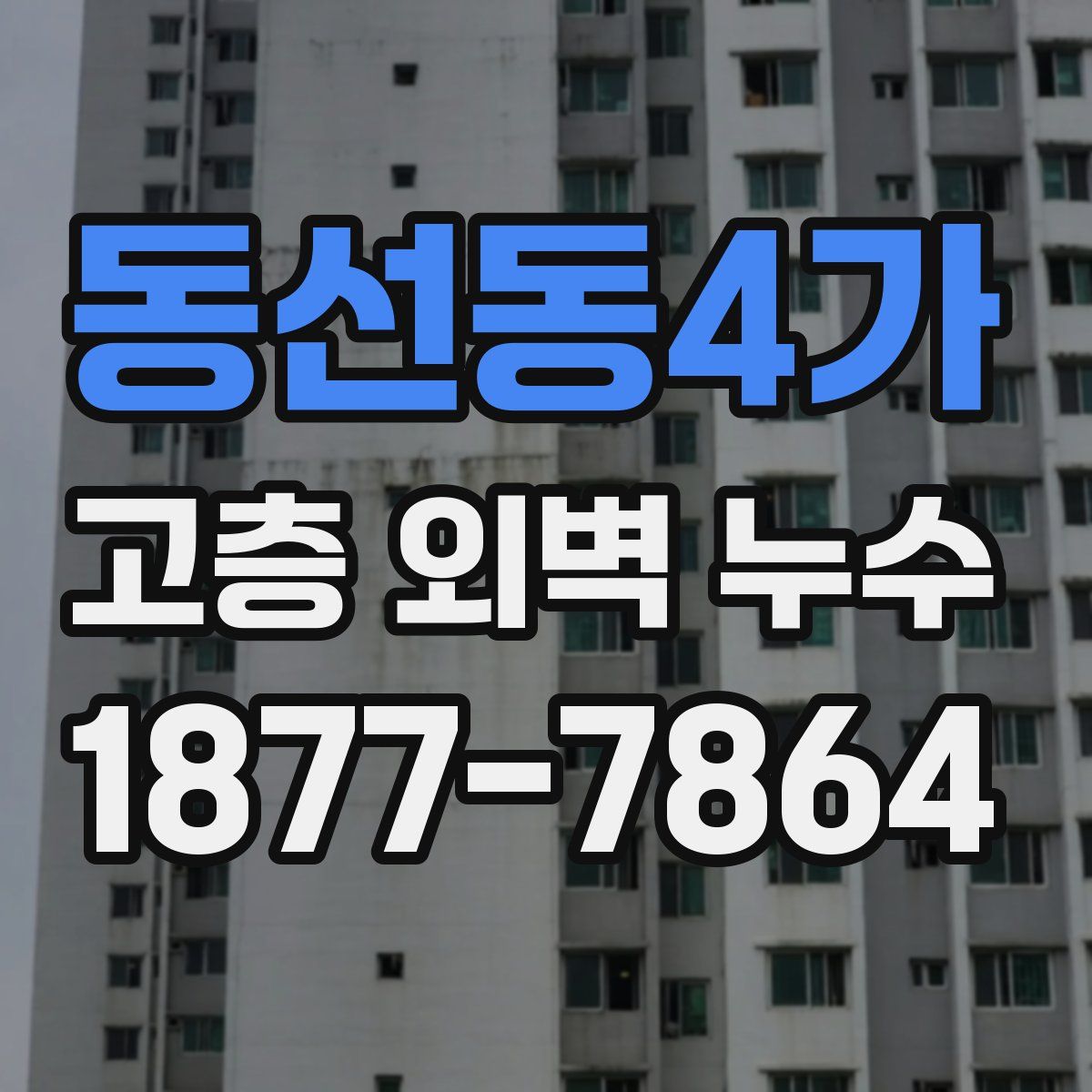 동선동4가 고층 외벽 누수
