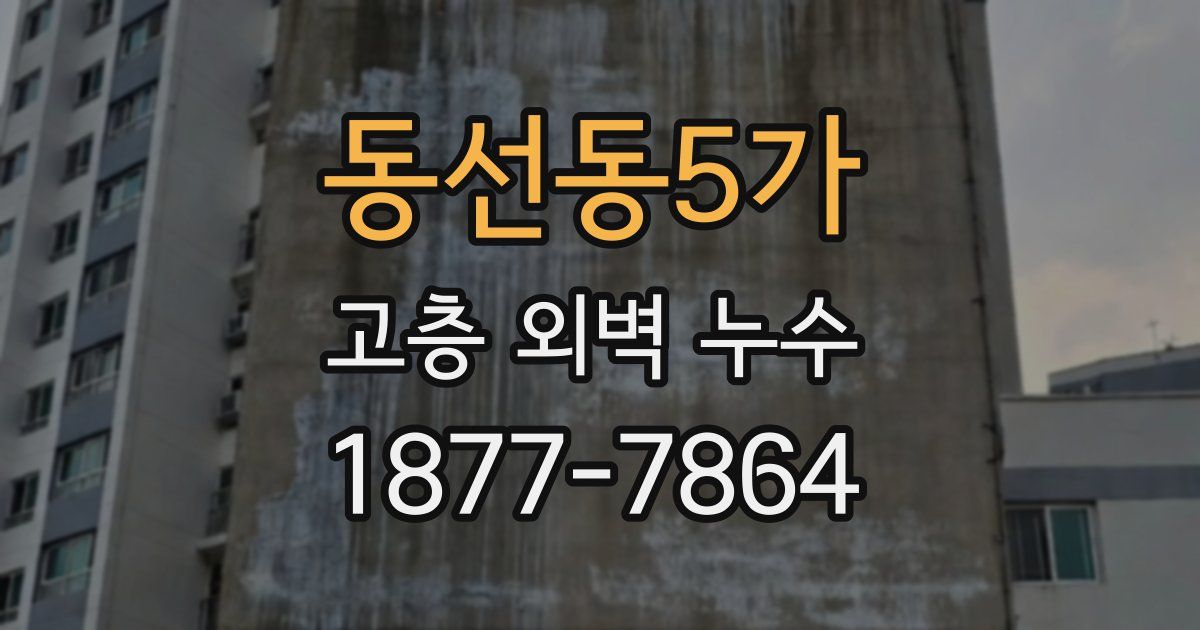 동선동5가 고층 외벽 누수