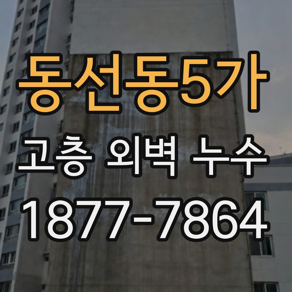 동선동5가 고층 외벽 누수