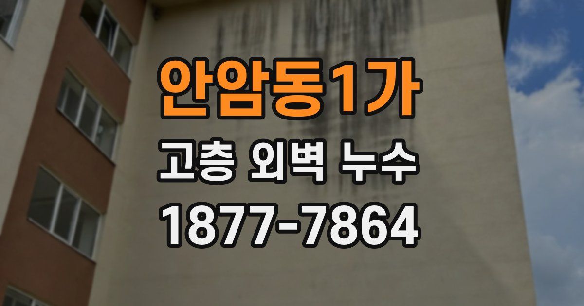 안암동1가 고층 외벽 누수