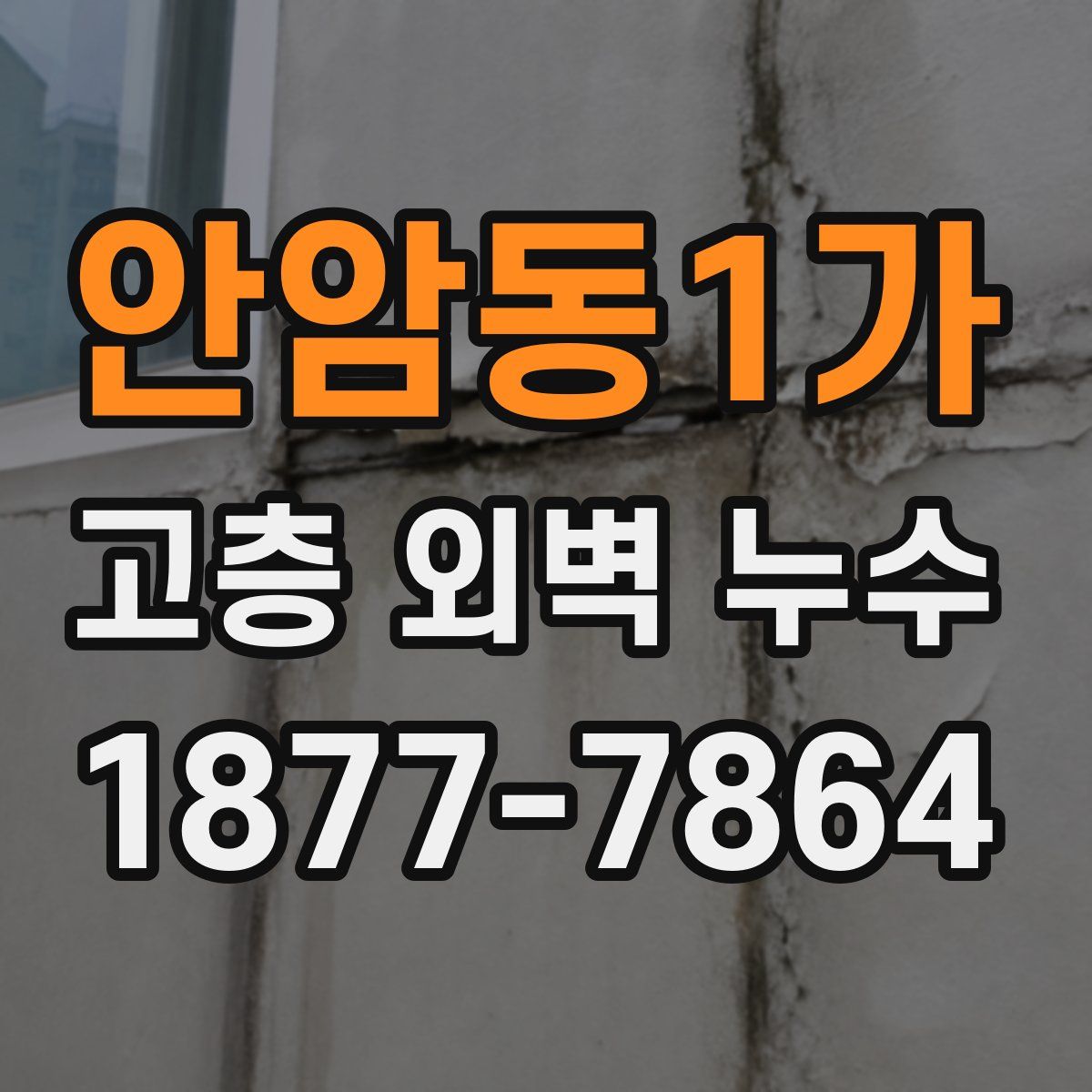 안암동1가 고층 외벽 누수