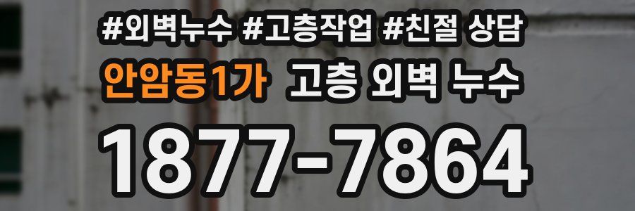 안암동1가 고층 외벽 누수
