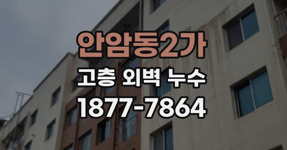 안암동2가 고층 외벽 누수
