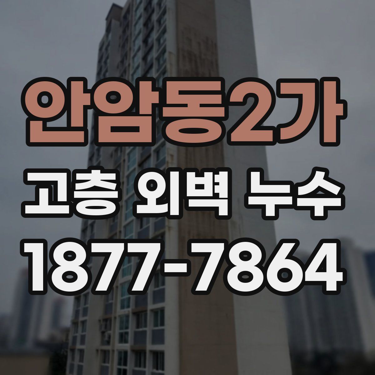 안암동2가 고층 외벽 누수