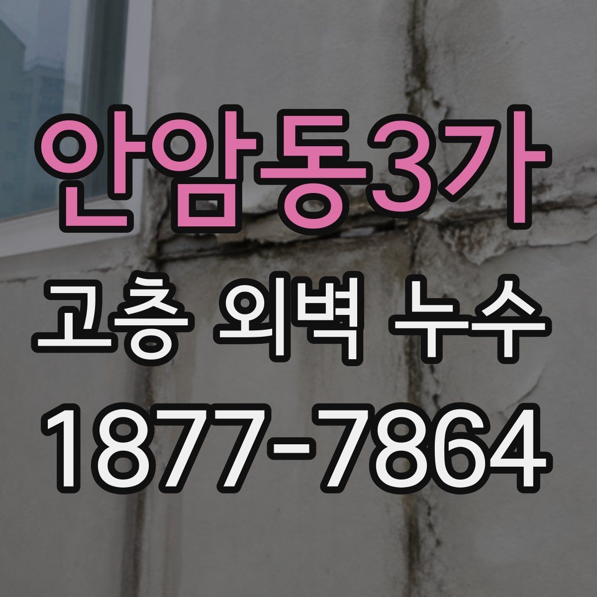 안암동3가 고층 외벽 누수 누수 원인별 공사 범위 살펴보기