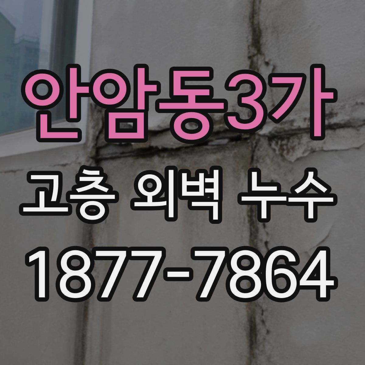 안암동3가 고층 외벽 누수