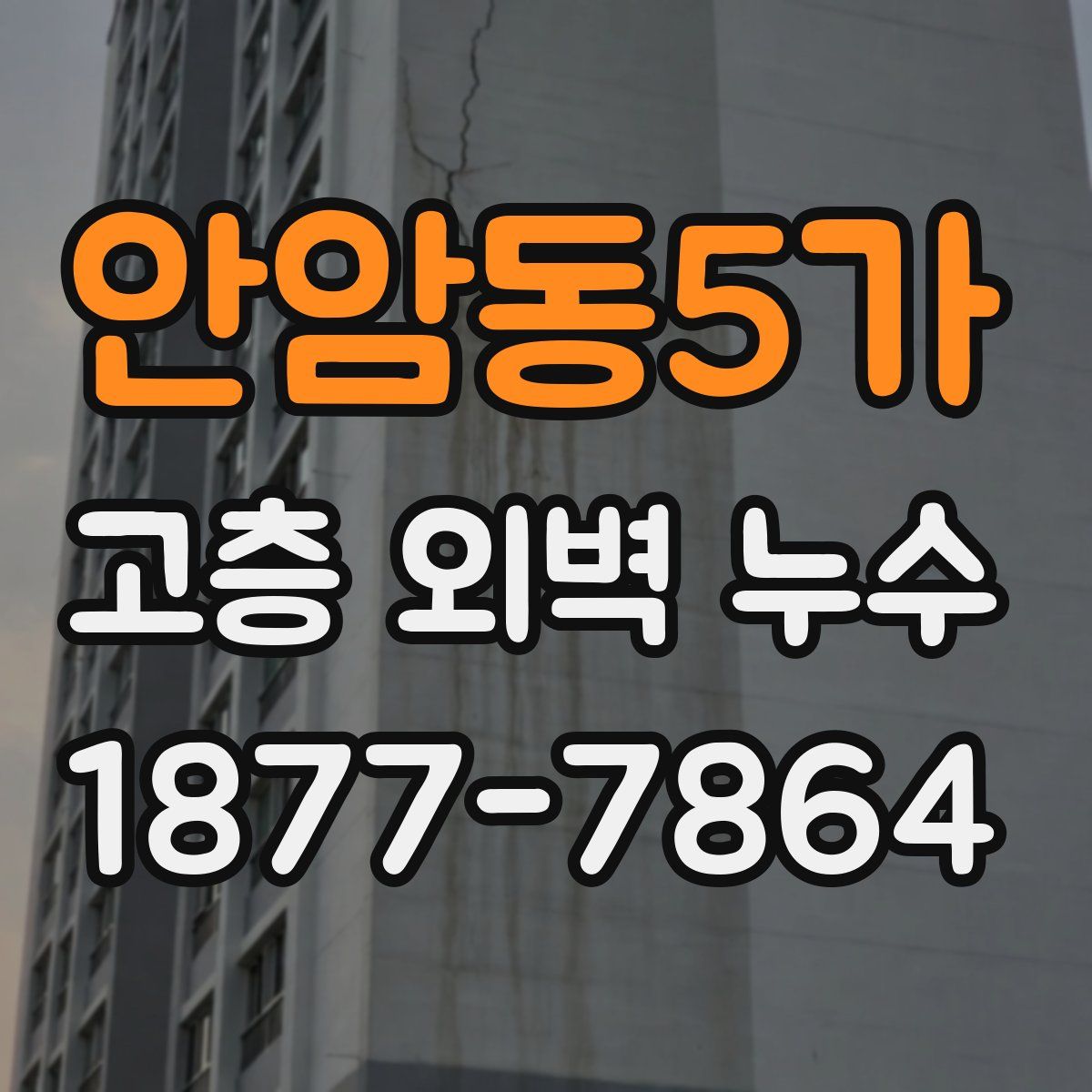 안암동5가 고층 외벽 누수