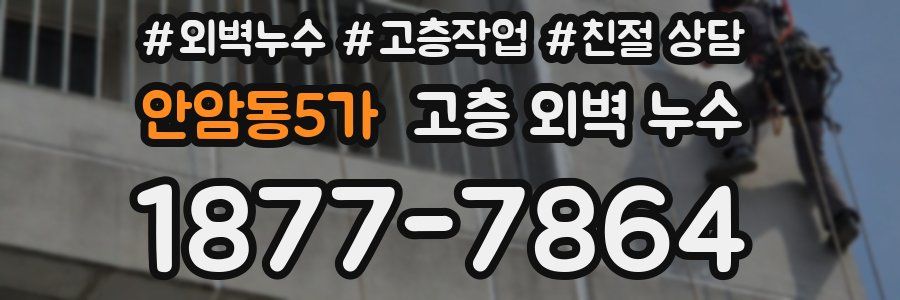 안암동5가 고층 외벽 누수
