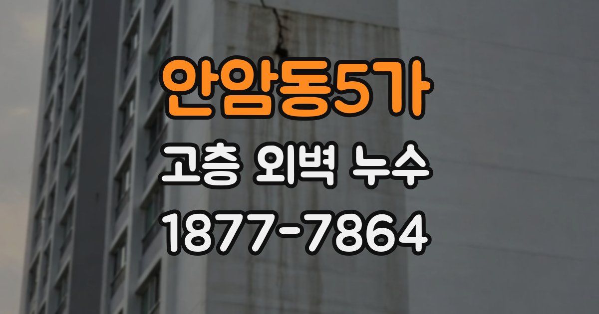 안암동5가 고층 외벽 누수