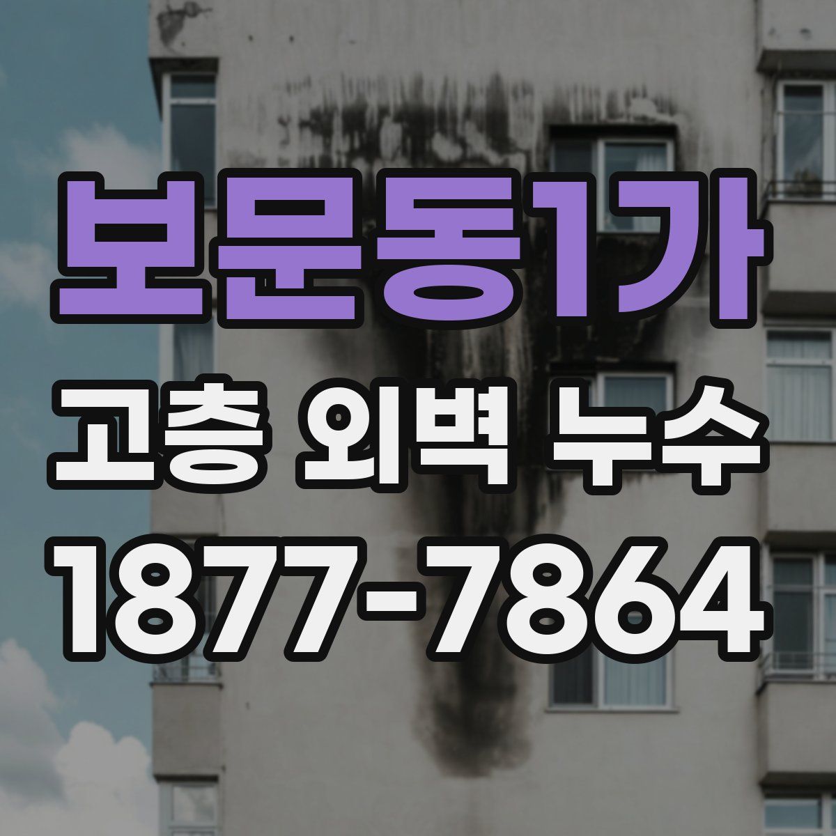 보문동1가 고층 외벽 누수