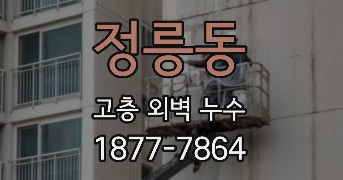 정릉동 고층 외벽 누수