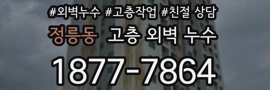 정릉동 고층 외벽 누수