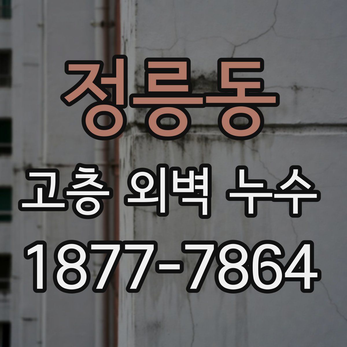 정릉동 고층 외벽 누수