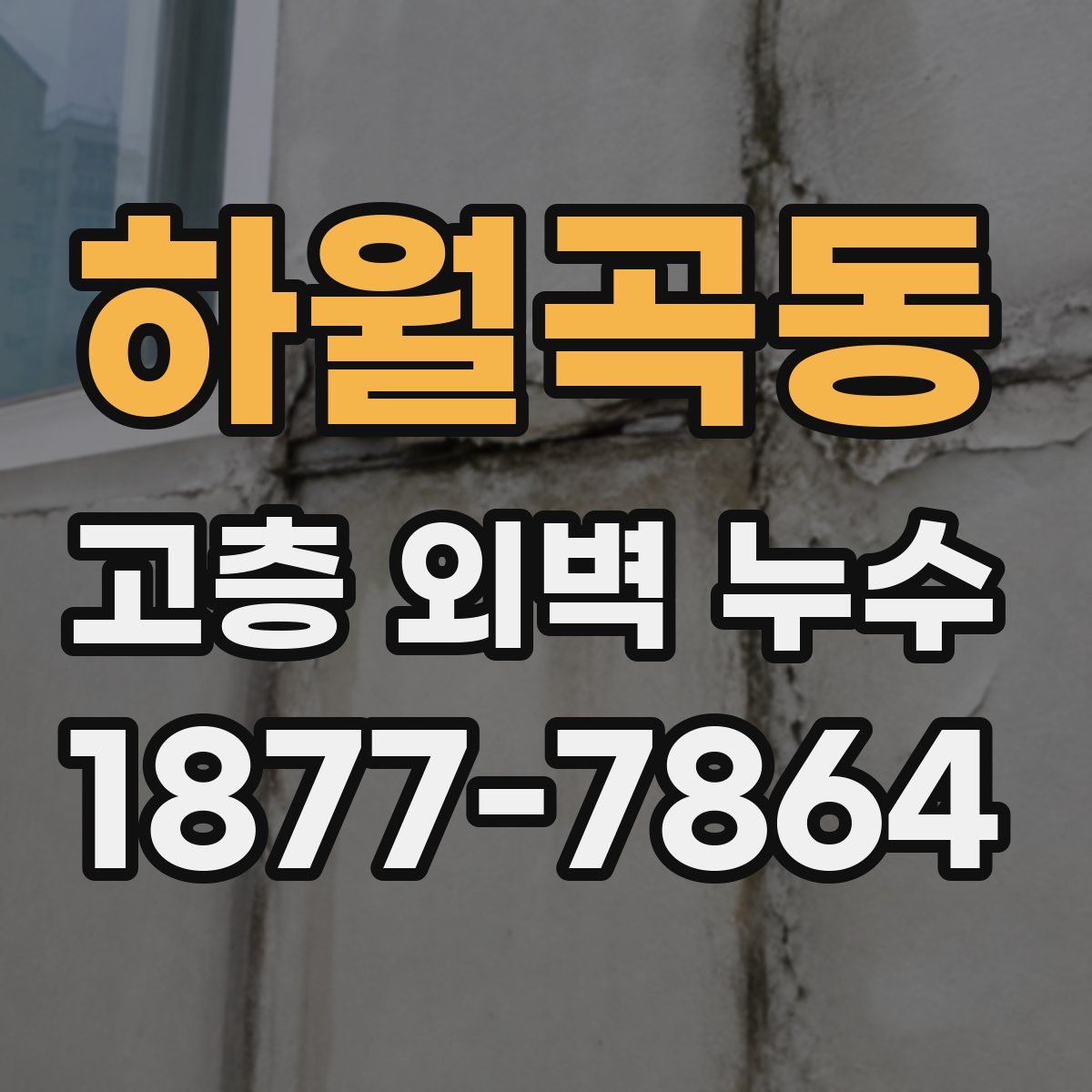 하월곡동 고층 외벽 누수