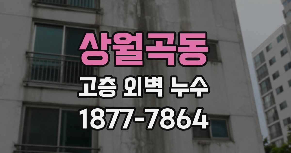 상월곡동 고층 외벽 누수