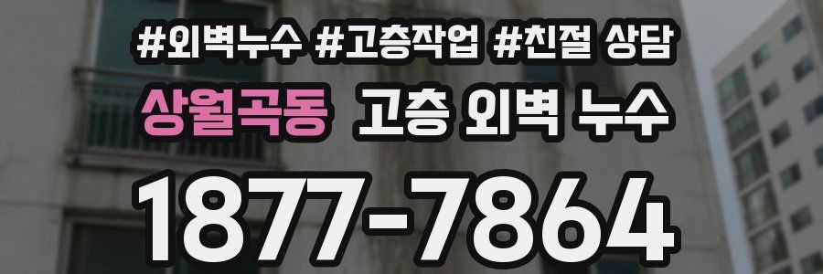 상월곡동 고층 외벽 누수