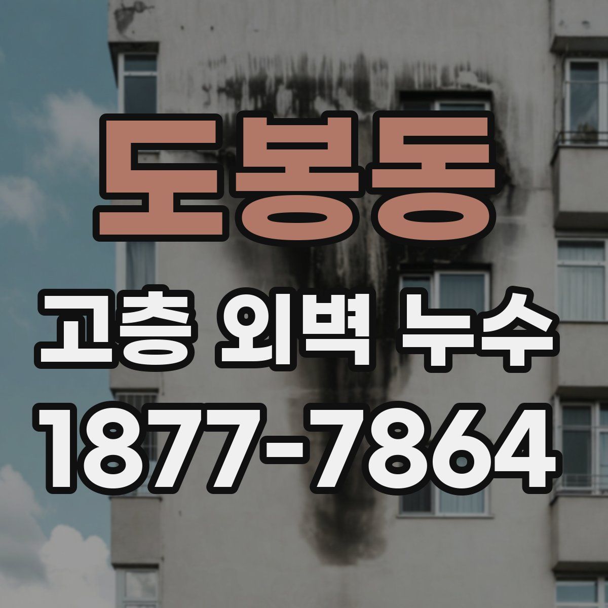 도봉동 고층 외벽 누수