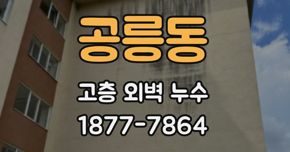 공릉동 고층 외벽 누수