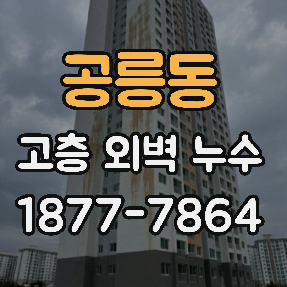 공릉동 고층 외벽 누수