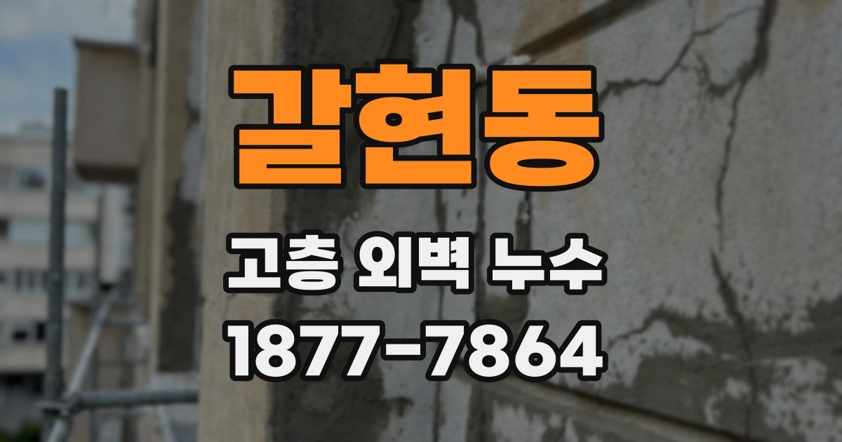 갈현동 고층 외벽 누수