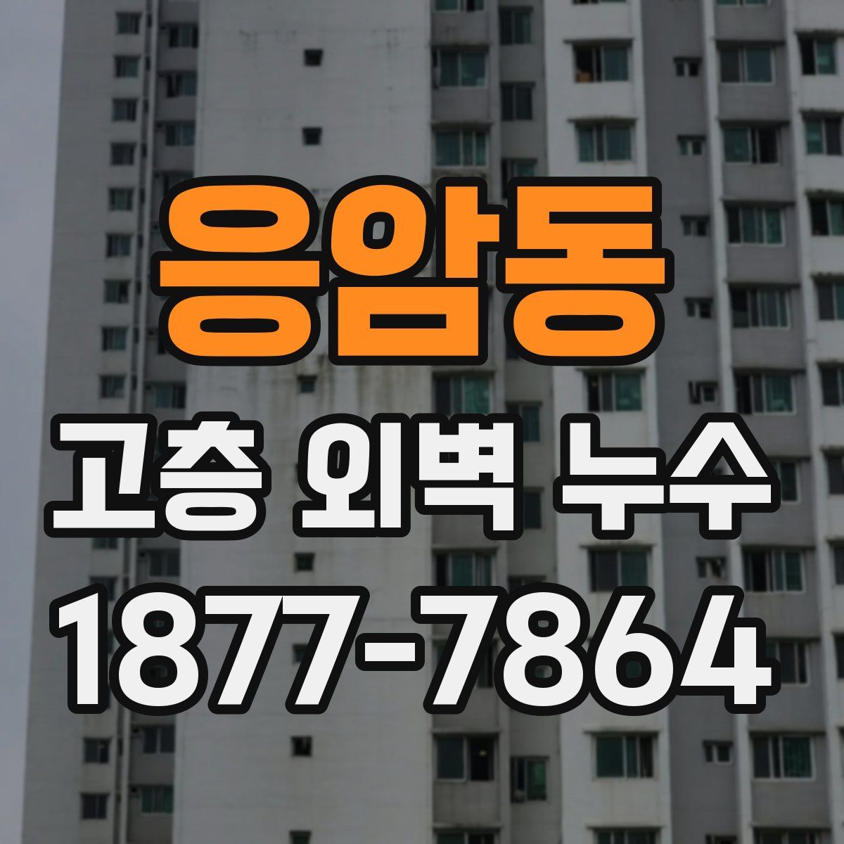 응암동 고층 외벽 누수