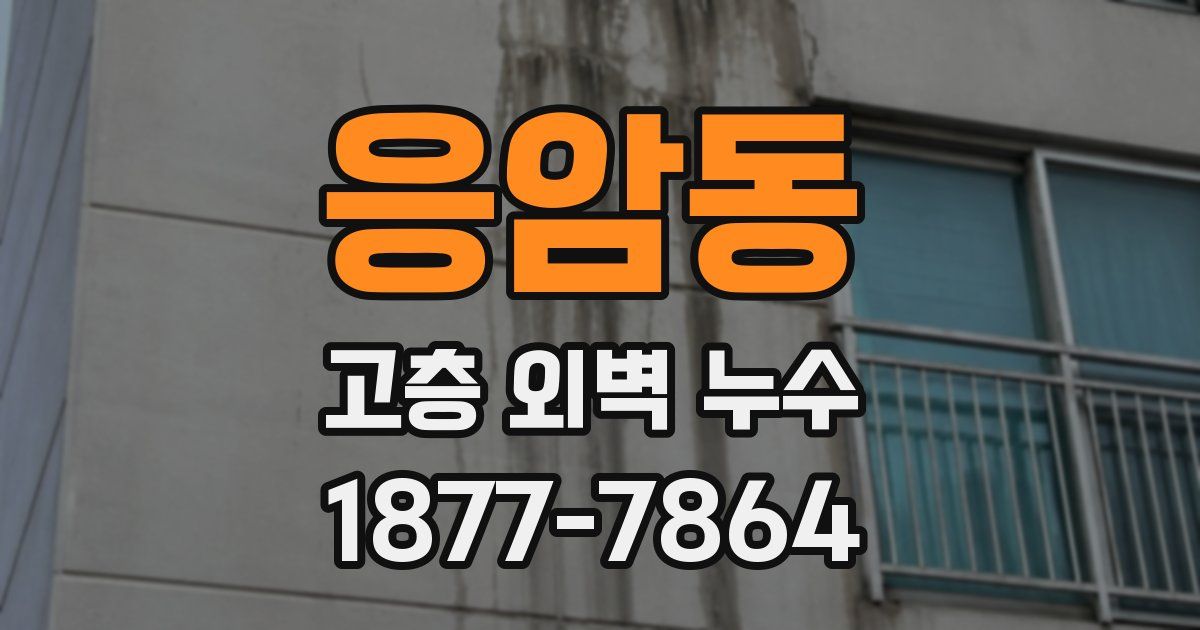 응암동 고층 외벽 누수