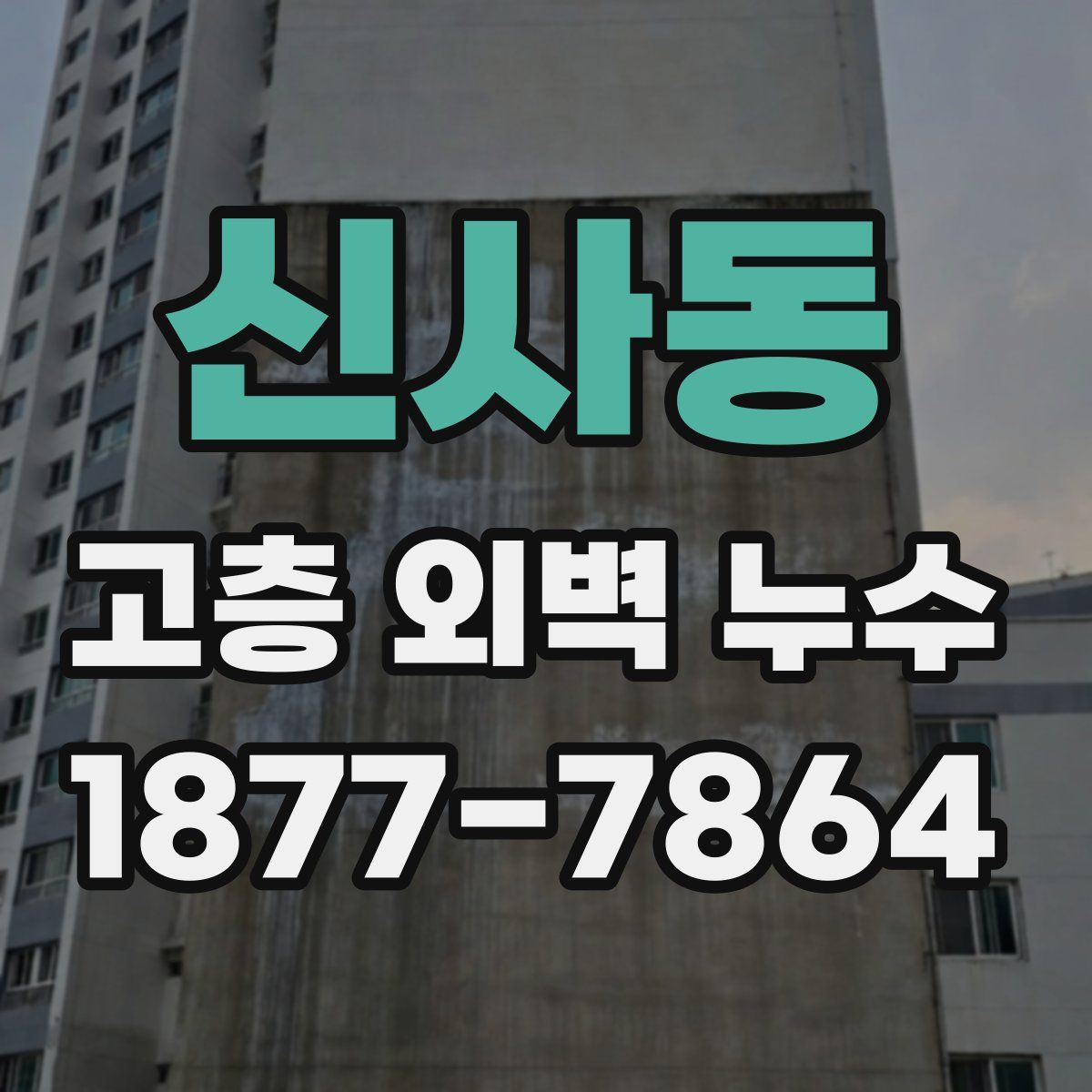 신사동 고층 외벽 누수