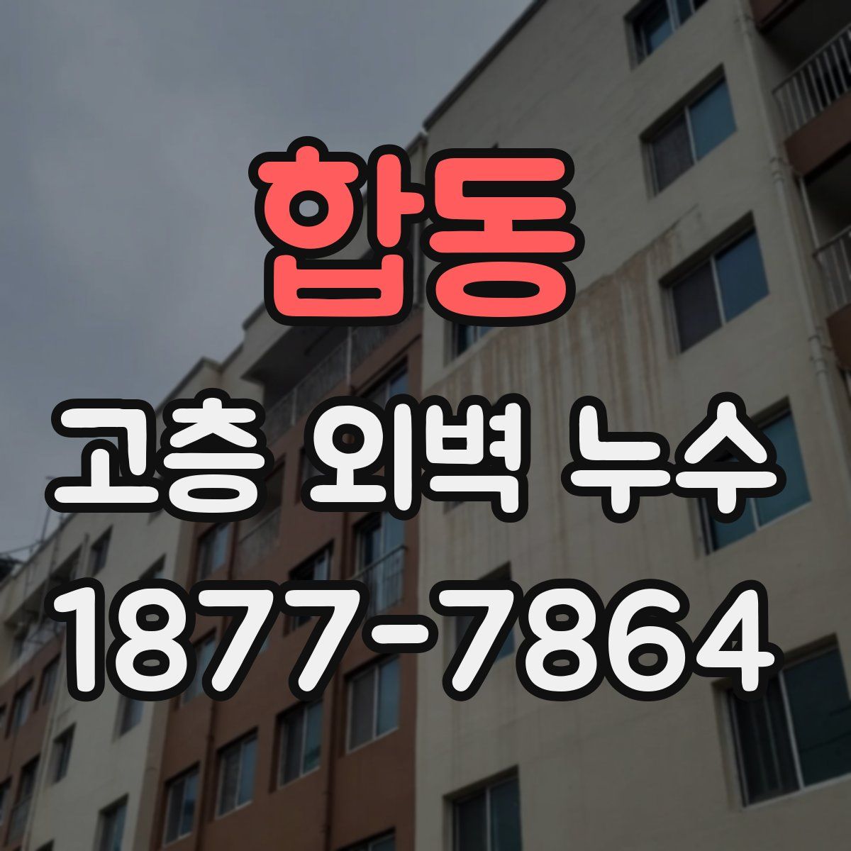 합동 고층 외벽 누수