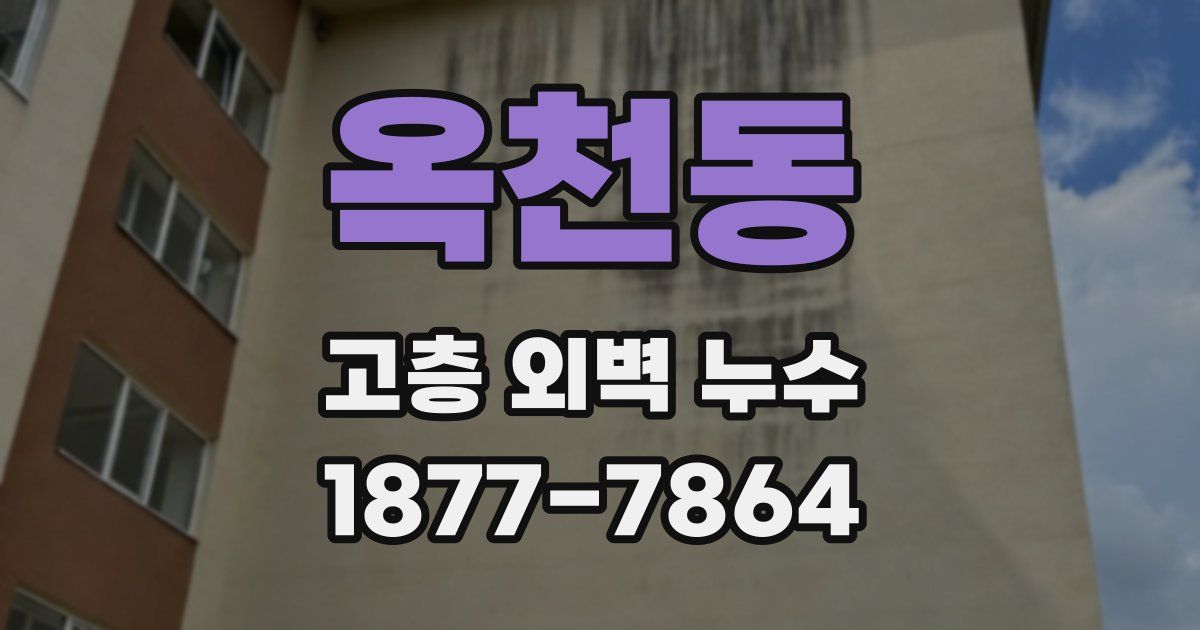 옥천동 고층 외벽 누수