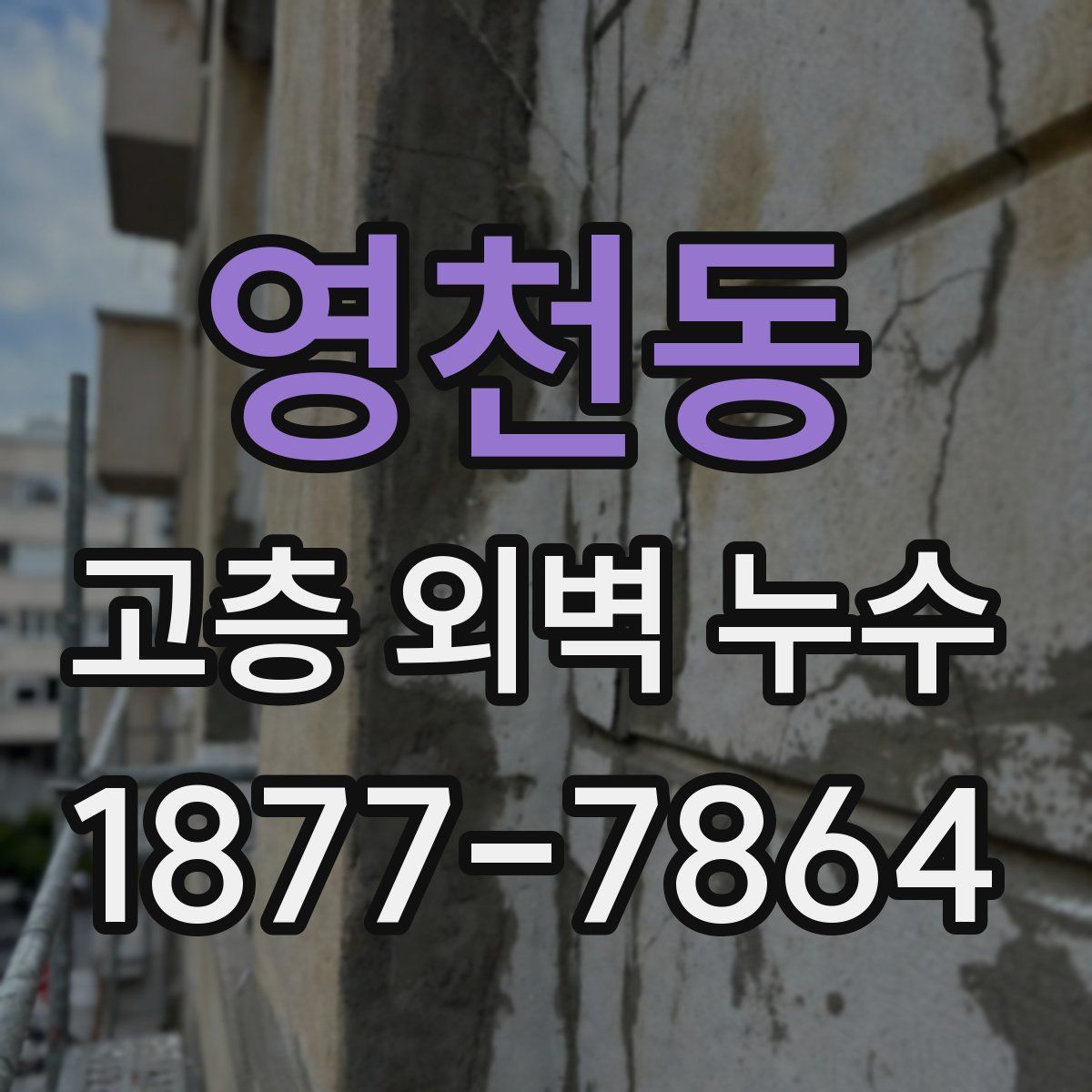 영천동 고층 외벽 누수