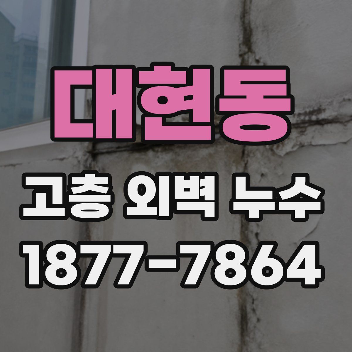 대현동 고층 외벽 누수