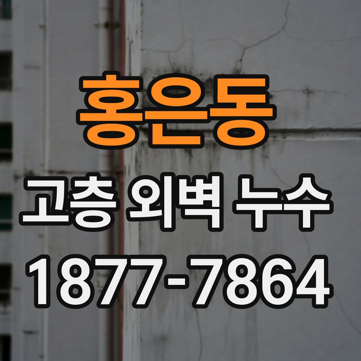 홍은동 고층 외벽 누수