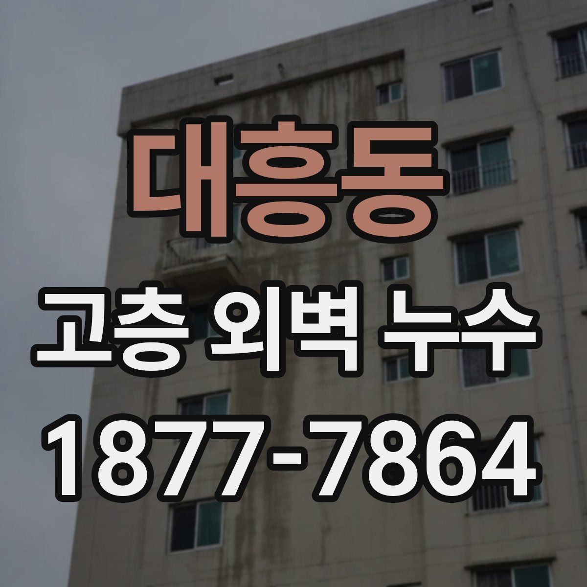 대흥동 고층 외벽 누수 의심 시 전문가 상담이 필요한 순간