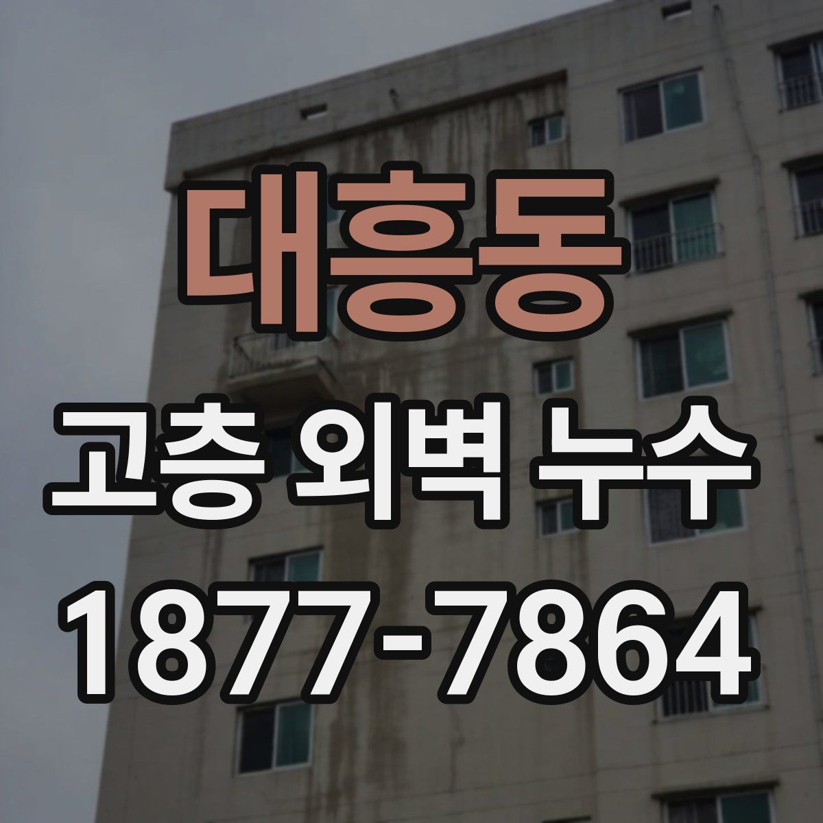 대흥동 고층 외벽 누수