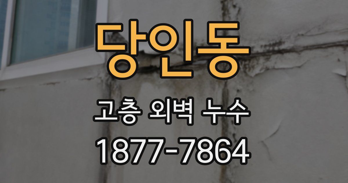 당인동 고층 외벽 누수