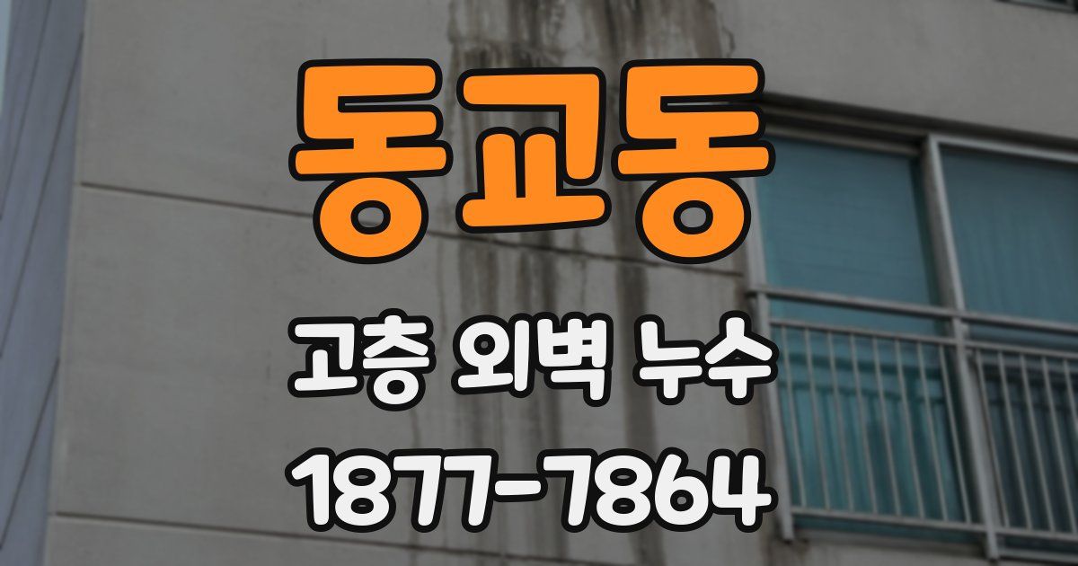 동교동 고층 외벽 누수