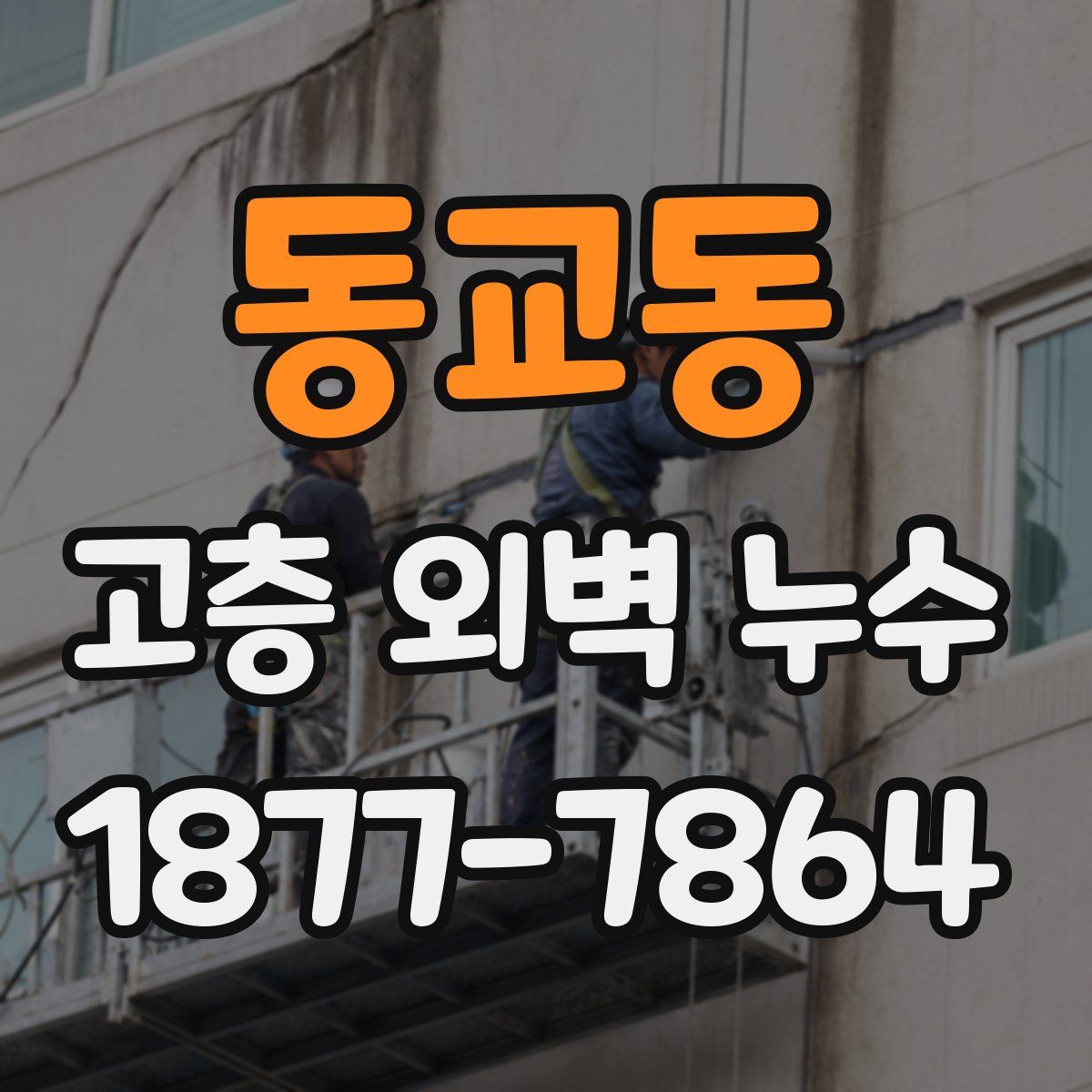 동교동 고층 외벽 누수