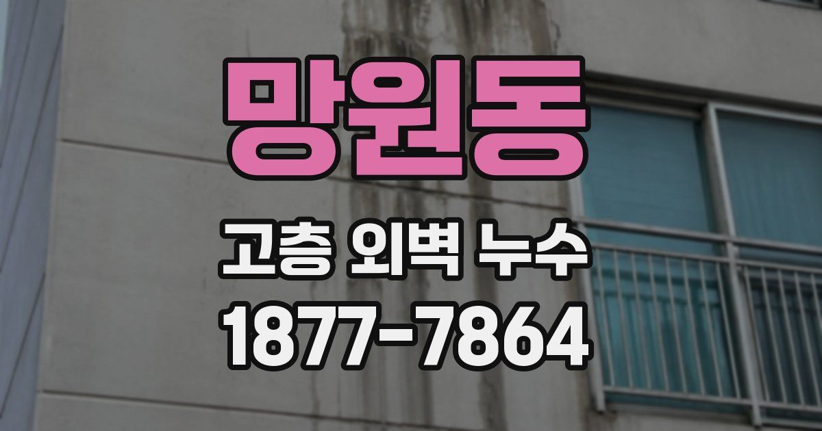 망원동 고층 외벽 누수
