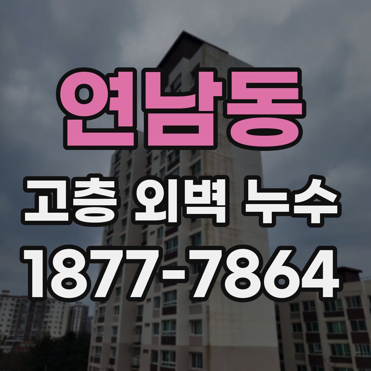 연남동 고층 외벽 누수