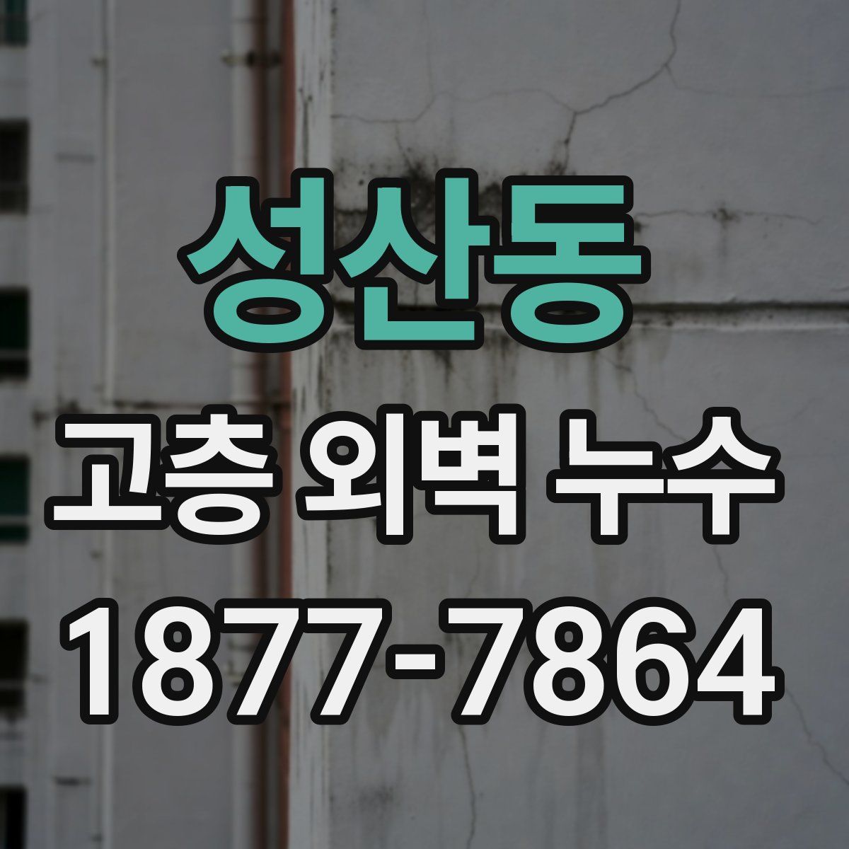 성산동 고층 외벽 누수