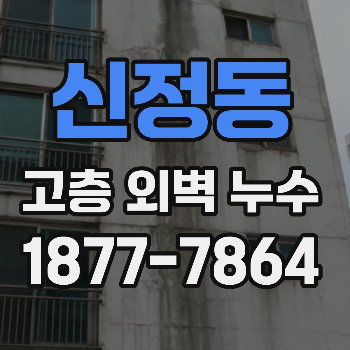 신정동 고층 외벽 누수