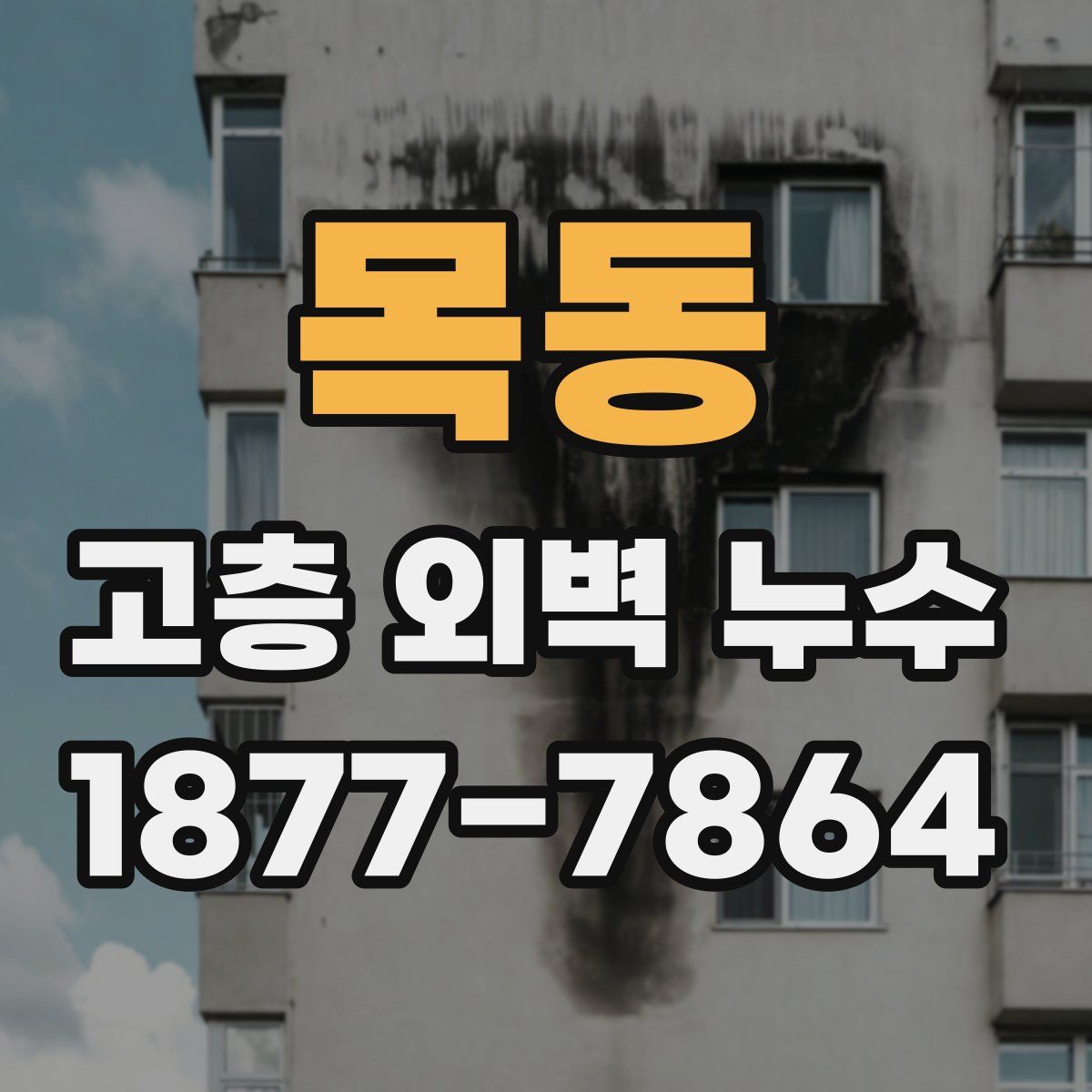 목동 고층 외벽 누수