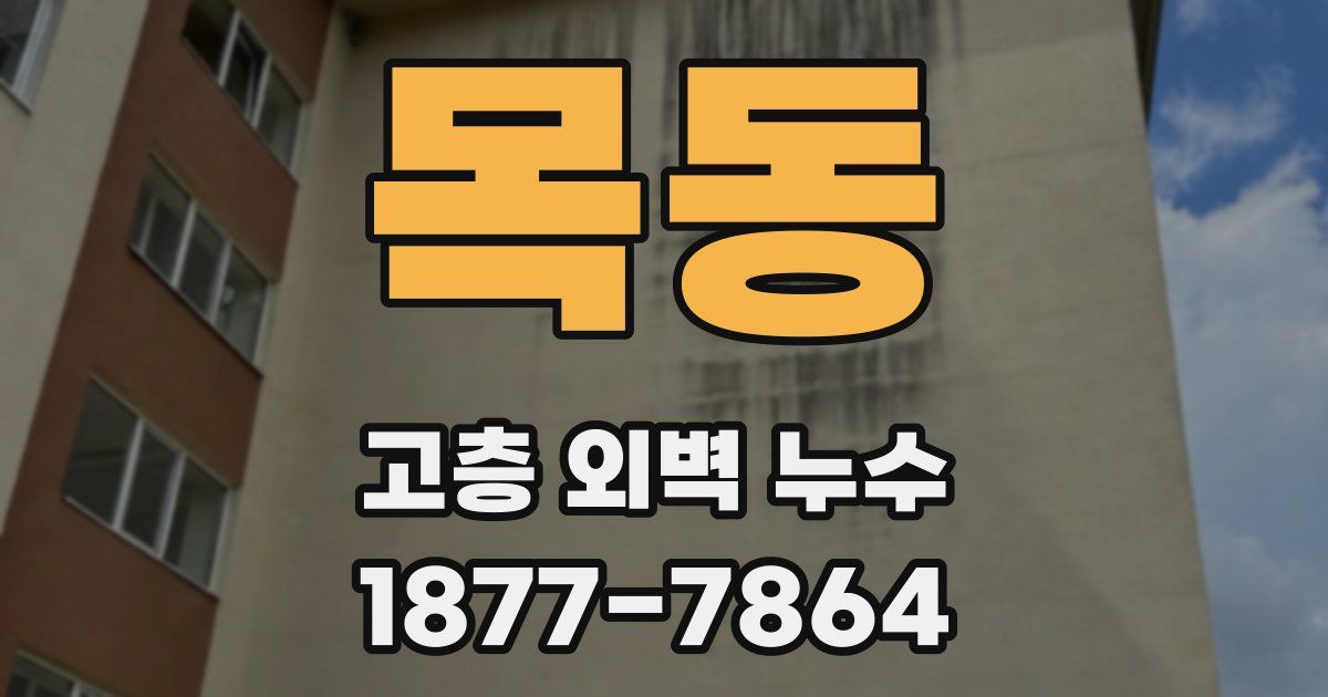 목동 고층 외벽 누수