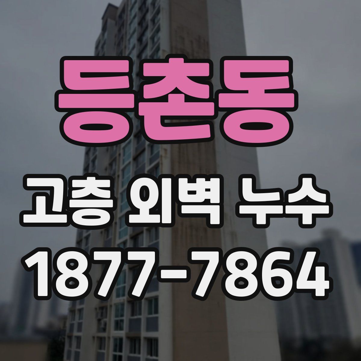 등촌동 고층 외벽 누수