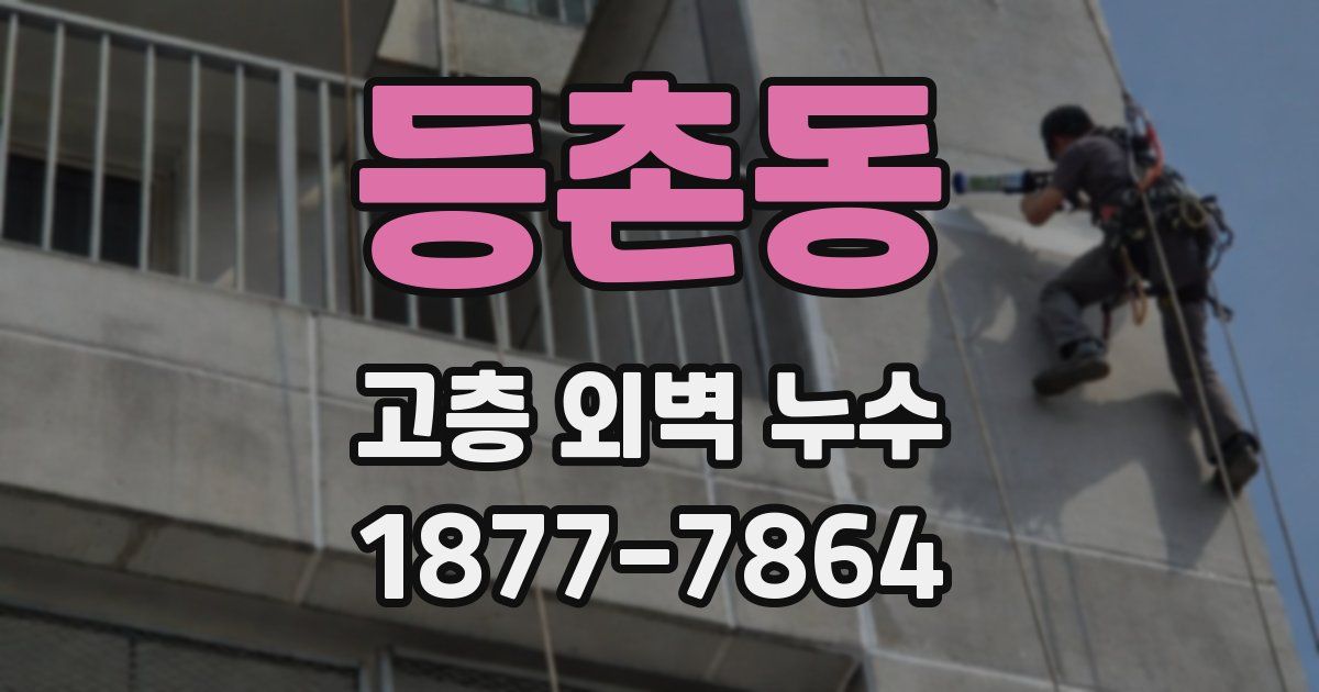 등촌동 고층 외벽 누수