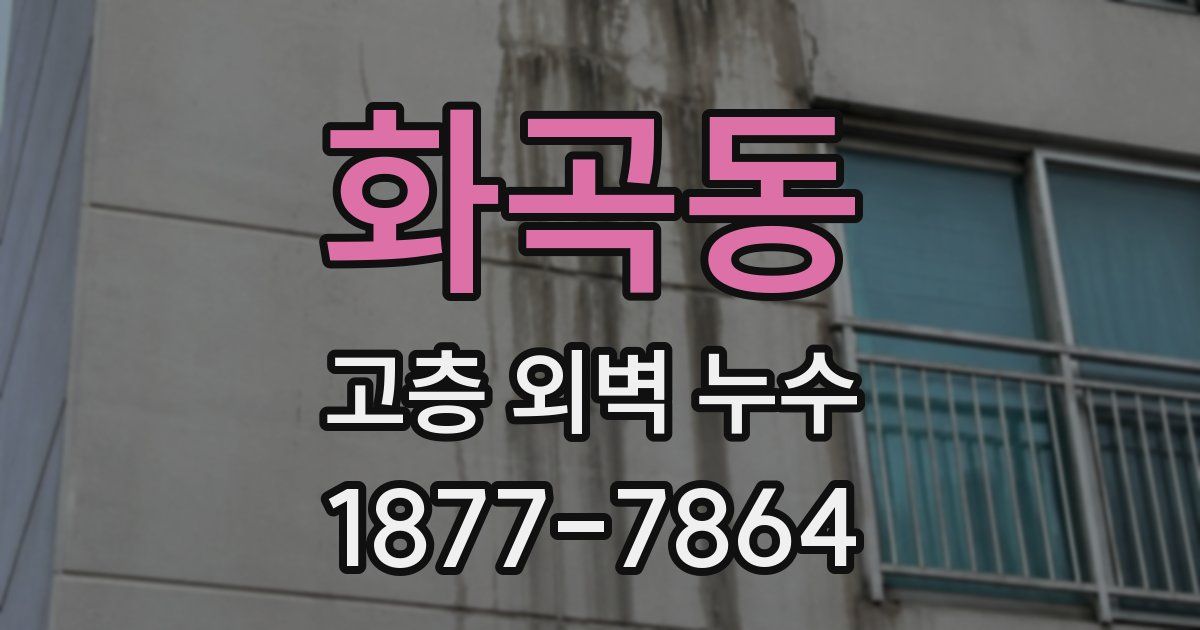 화곡동 고층 외벽 누수