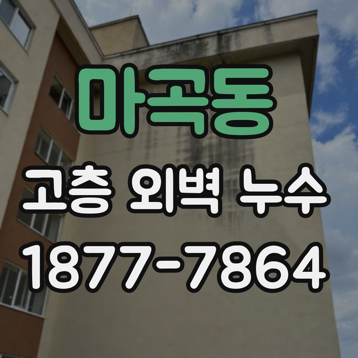 마곡동 고층 외벽 누수
