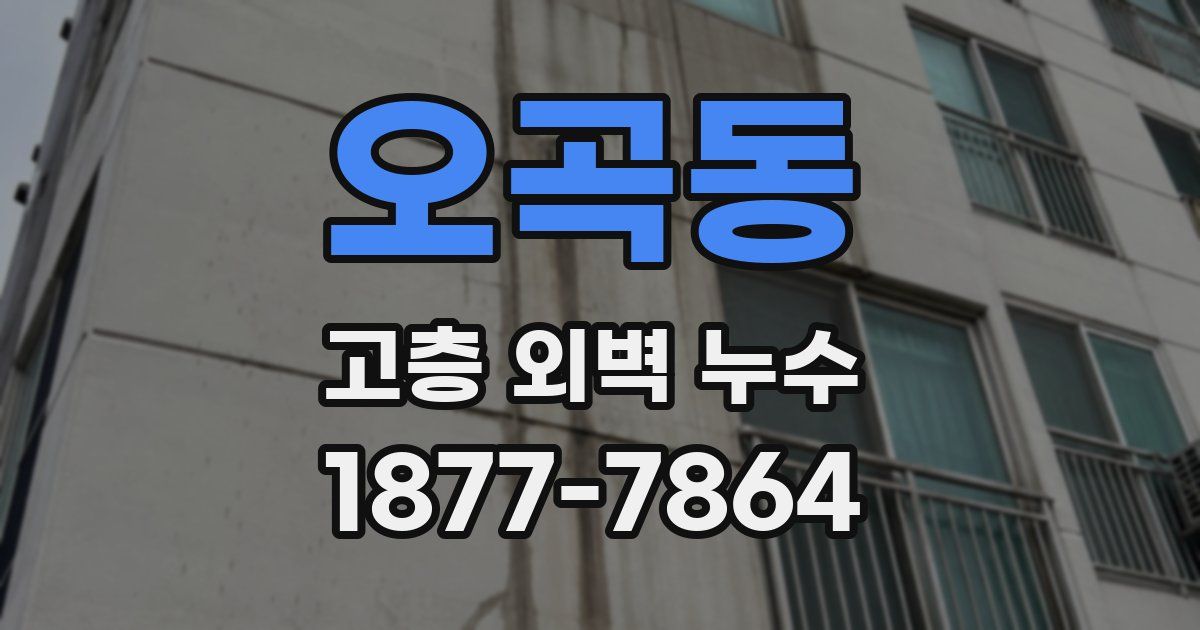 오곡동 고층 외벽 누수