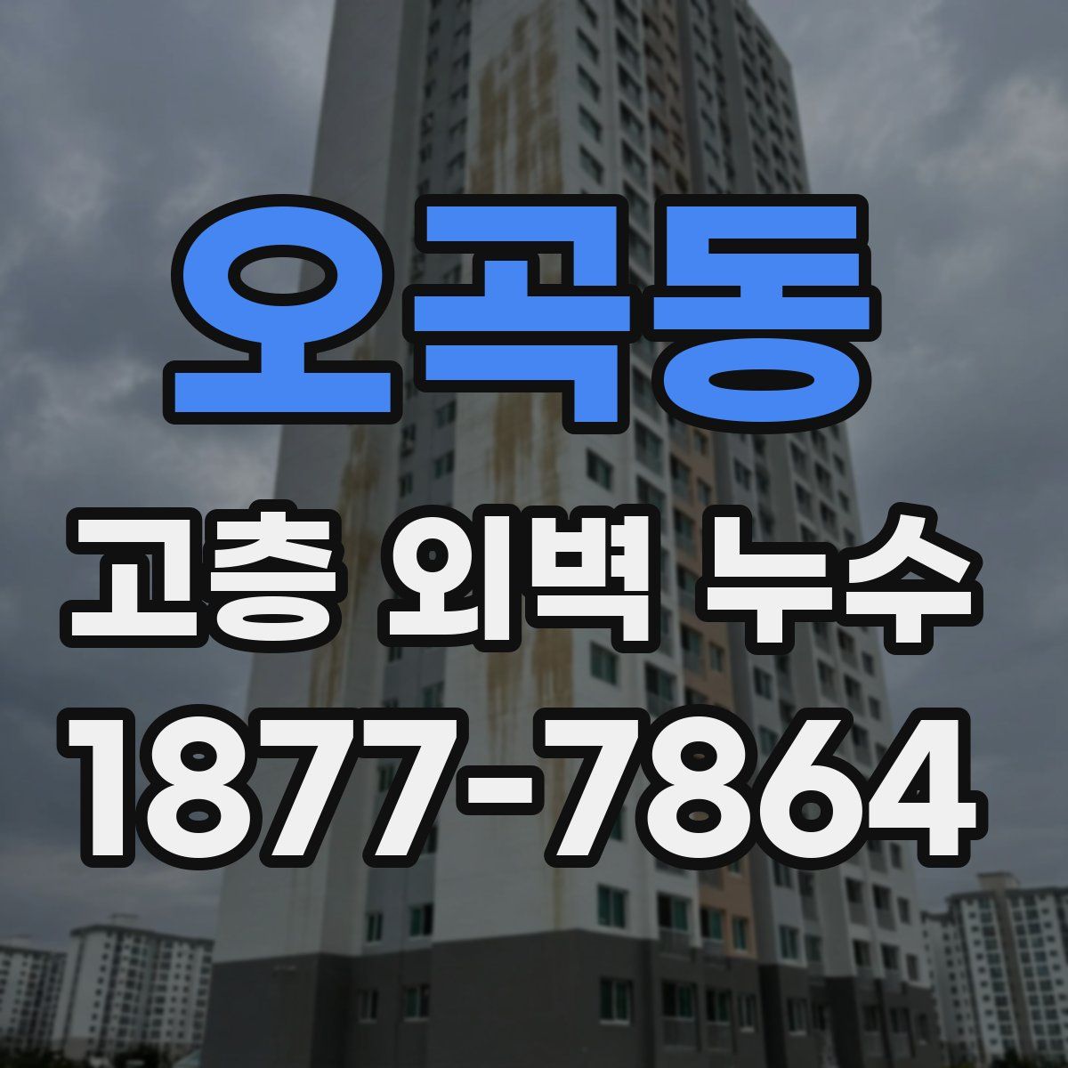 오곡동 고층 외벽 누수