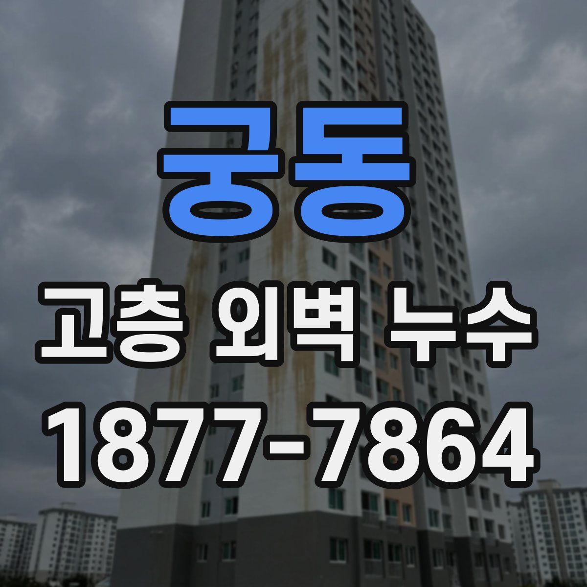 궁동 고층 외벽 누수